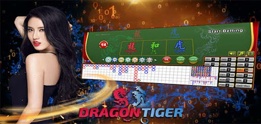 Mainkan Dragon Tiger Online dengan Strategi yang Tepat